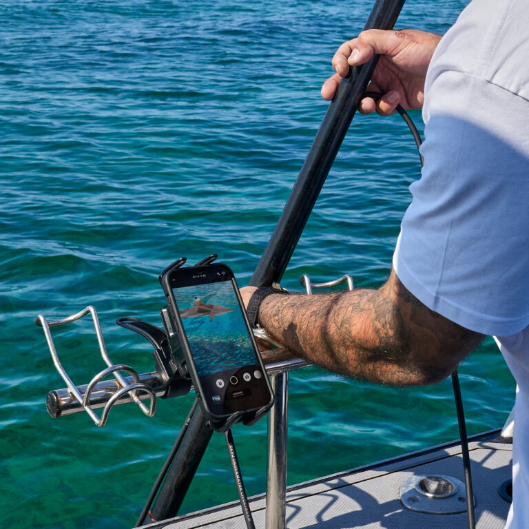 手机连接到 Seavu Seeker 杆式支架，实时播放鲨鱼的水下画面