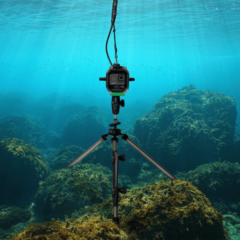 Seavu Explorer 安装在海底支架上，实时捕捉海底的水下画面