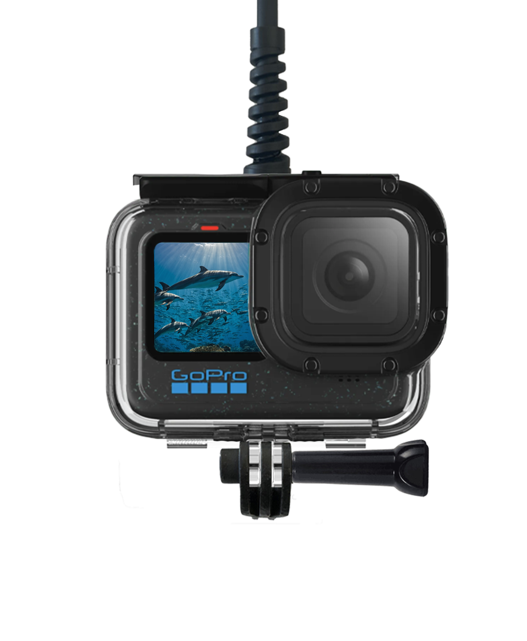 防水外壳中的 GoPro 安装在 Seavu Seeker Marine Kit 的水下