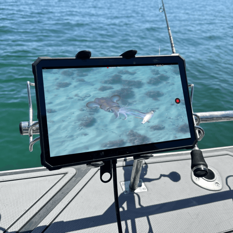 平板电脑实时播放使用 Seavu Seeker Starter Kit 拍摄的水下鱿鱼视频，背景为钓鱼竿