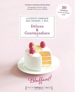 livre_delice_gourmandises_polymere